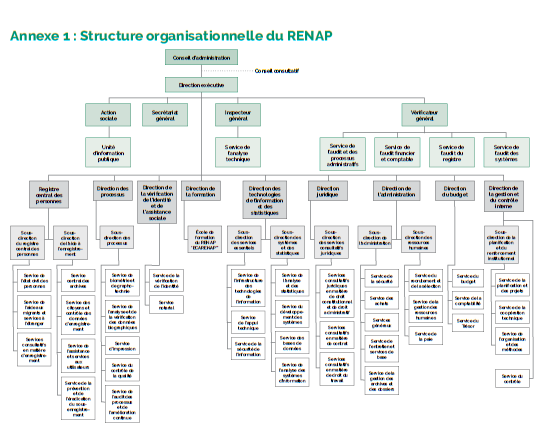 Structure organisationnelle du RENAP